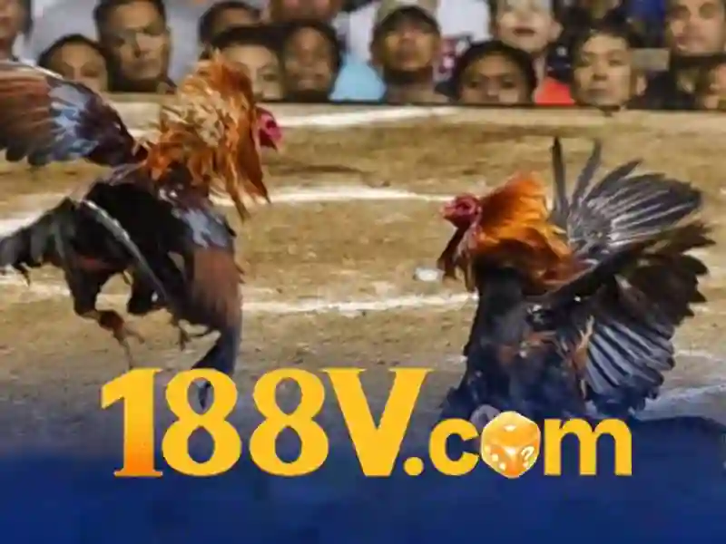 Sản phẩm và dịch vụ cốt lõi: ứng dụng của đăng nhập 188v