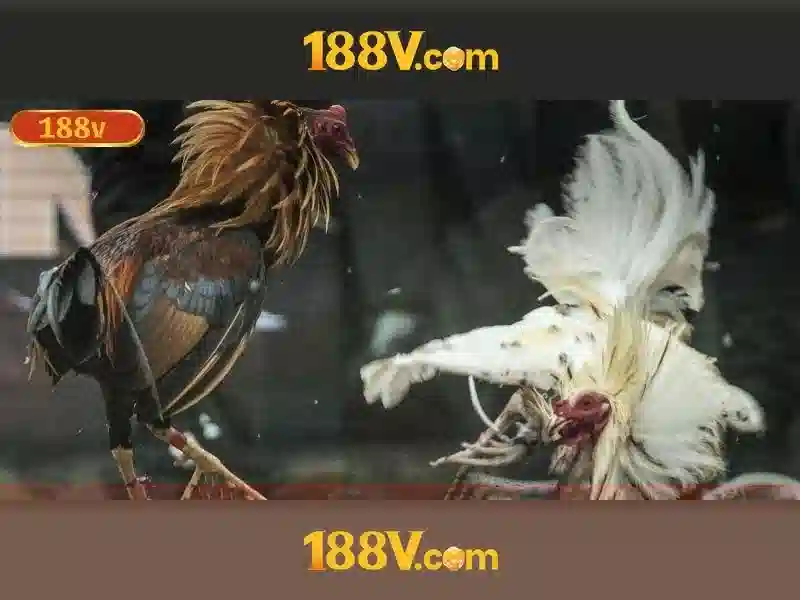 188v - biểu tượng của dòng điện và ký ức thành phố