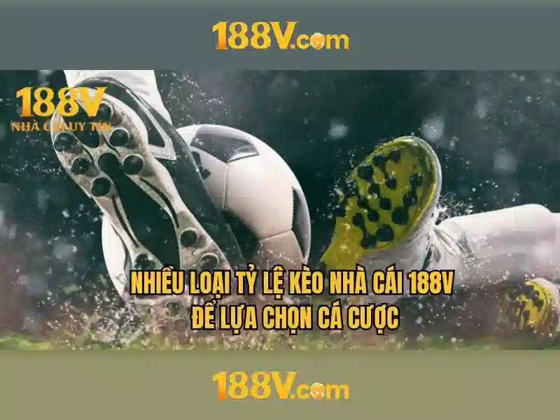 '188v school – Tổng quan chủ đề và giá trị cốt lõi'