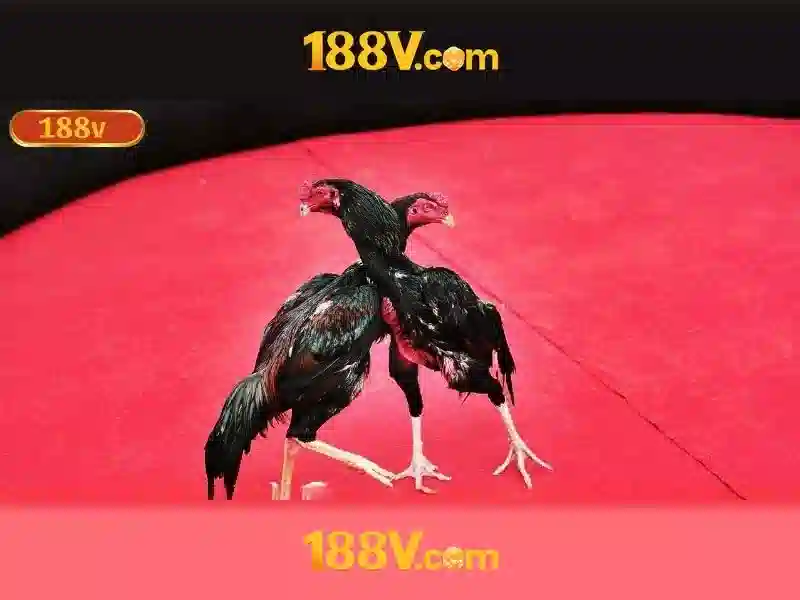 188v uy tín không – tổng quan và trải nghiệm