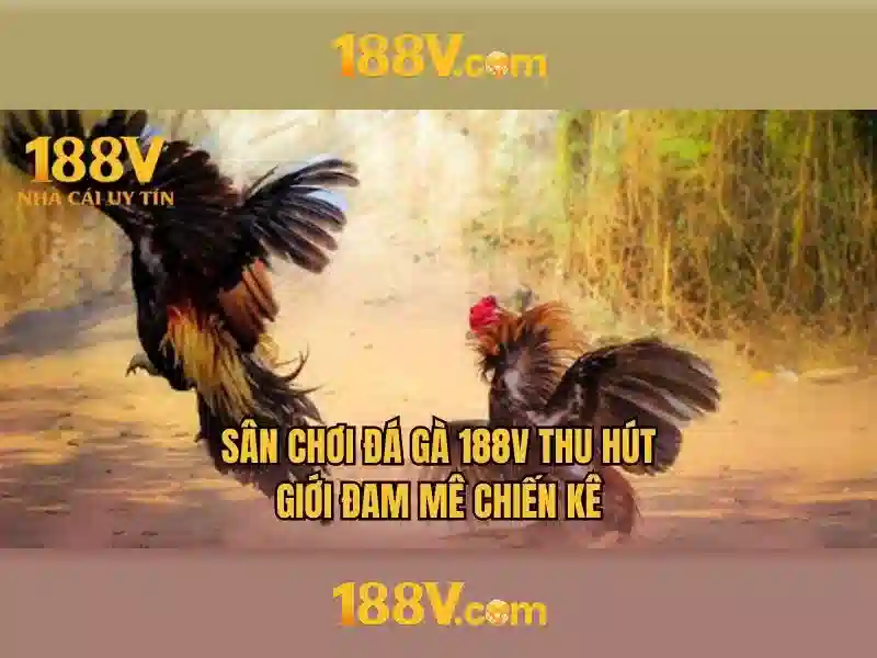 188V: Một câu chuyện về điện áp và khám phá