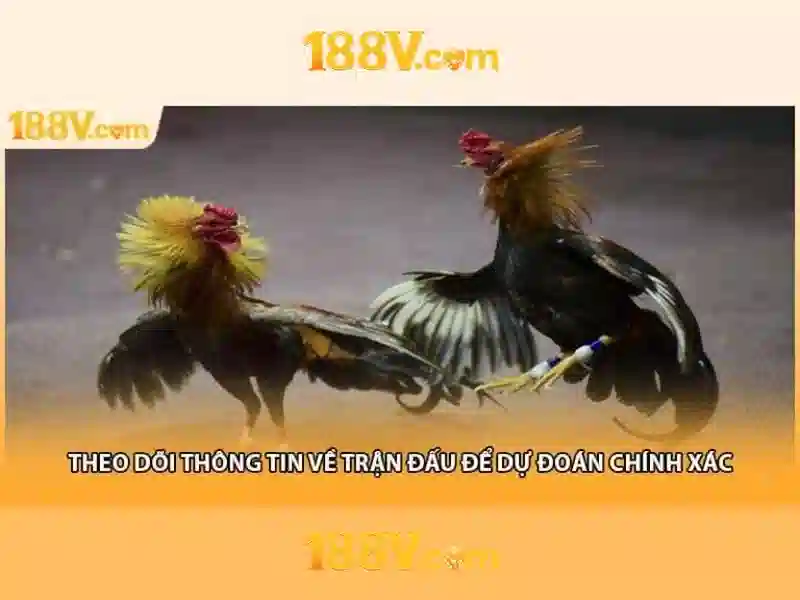 Khám phá 188v: một quan niệm mới\n\n
