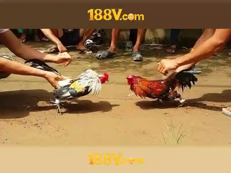 Nguồn gốc từ ngữ và sứ mệnh của 188v bet\n\n