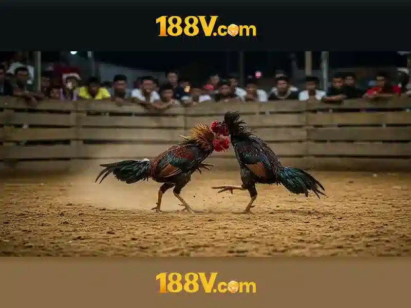 188v. vip: Trải nghiệm đỉnh cao cho người Việt