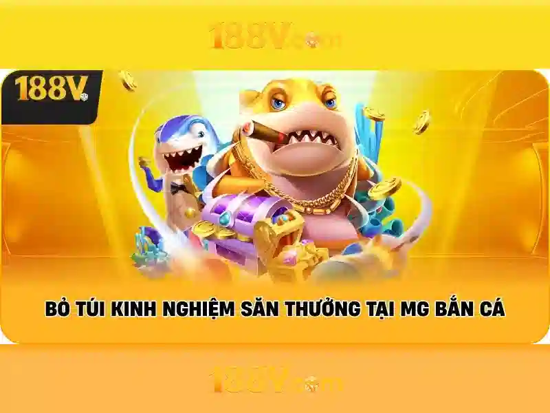 188v-com: Khám phá giá trị và trải nghiệm đột phá