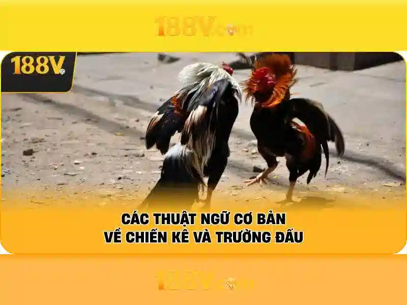 Khám phá 188v