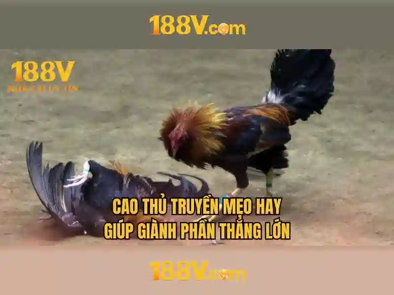 188V: Một khái niệm về điện áp và tương lai