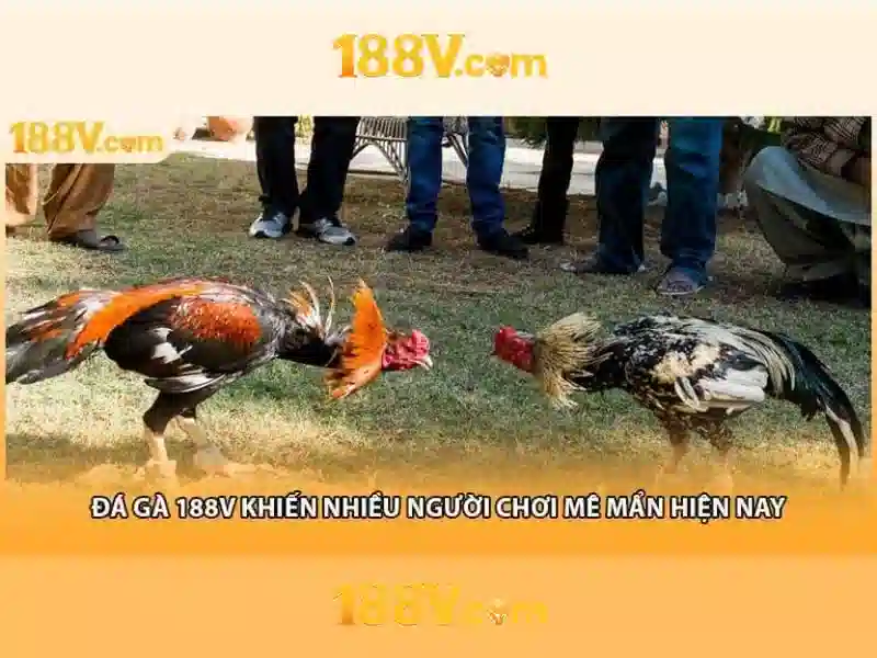 Nguồn gốc và sứ mệnh của 188v