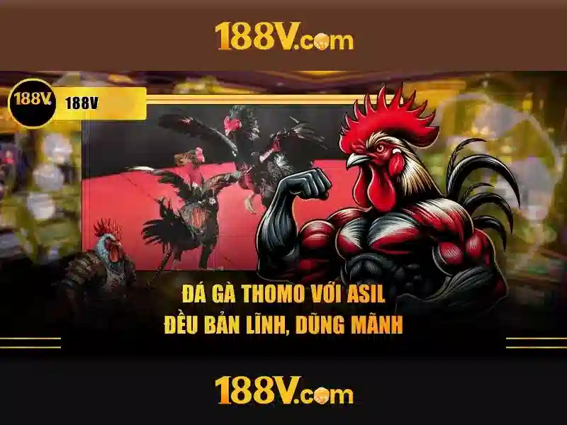 188v: một khởi đầu cho sáng tạo và công nghệ