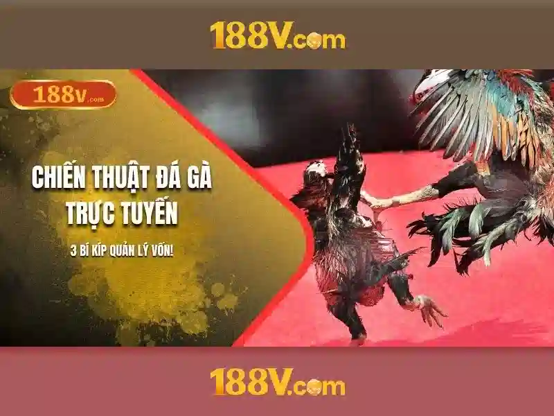 <!--IMG_PLACEHOLDER alt>Hướng phát triển và tầm nhìn tương lai-->