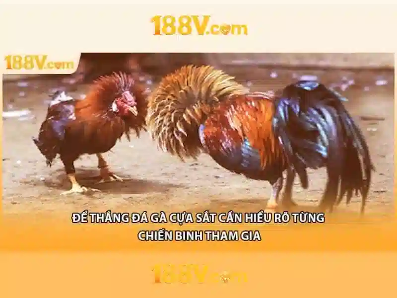 188v nhà cái – Trải nghiệm đăng nhập 188v và 188v ios