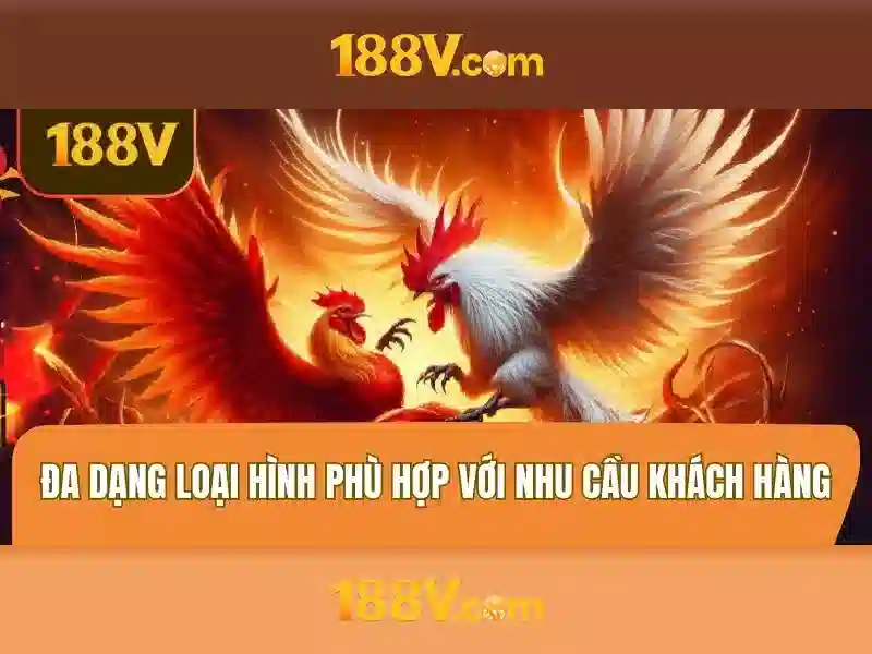188v nhà cái – Tổng quan chủ đề và giá trị cốt lõi