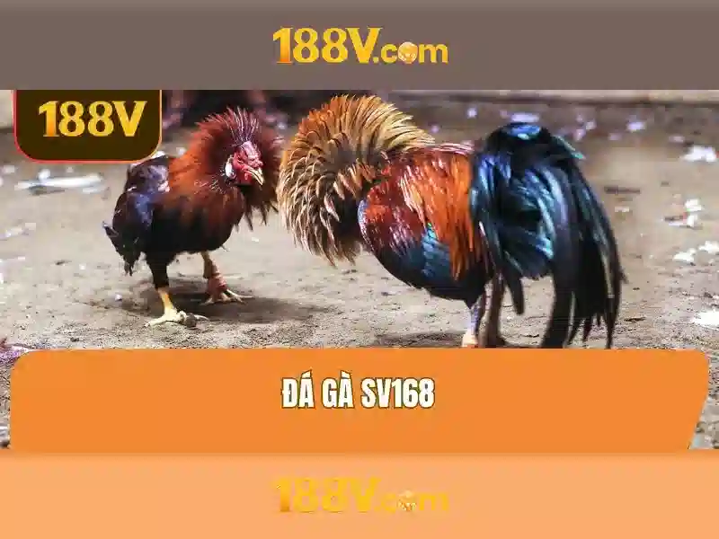 188v: Khai phá ý tưởng và công nghệ đằng sau một khái niệm mới