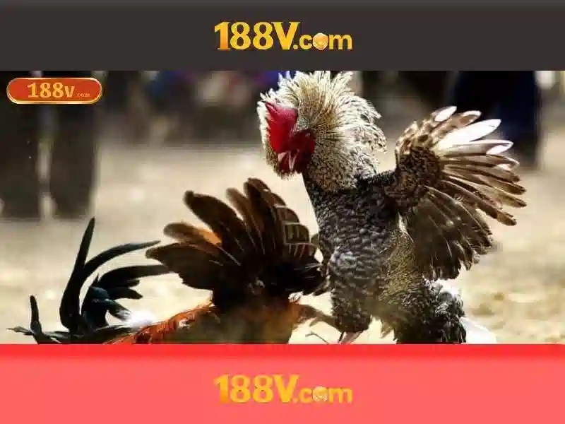 188V là gì?\n\n
