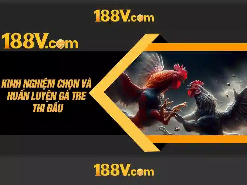 188V: Khái niệm và hành trình của một ý tưởng công nghệ