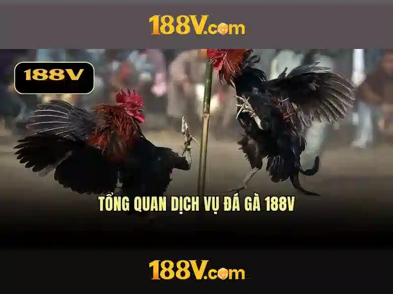 Khám phá 188v: một khái niệm, công nghệ và ứng dụng