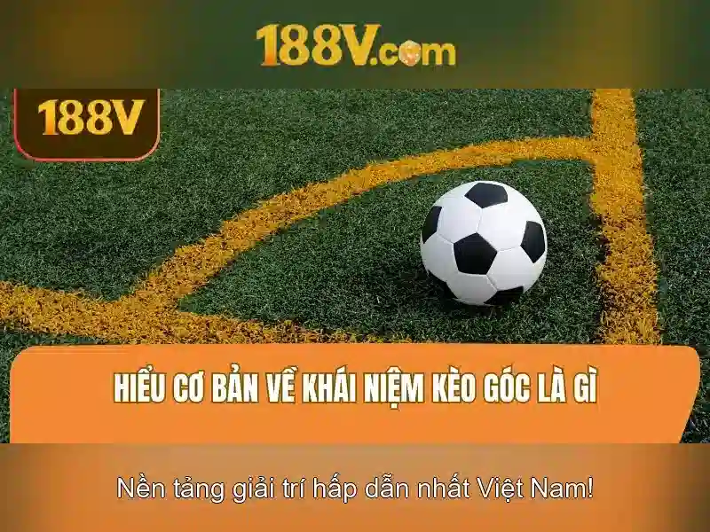 Kết luận