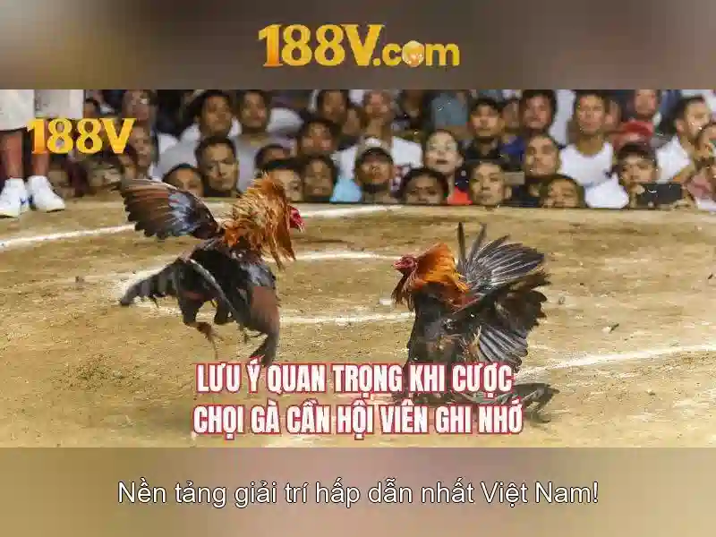 188V: Khái niệm, ứng dụng và an toàn trong hệ thống điện
