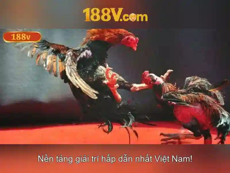 Khám phá 188v: một biểu tượng của thế giới số