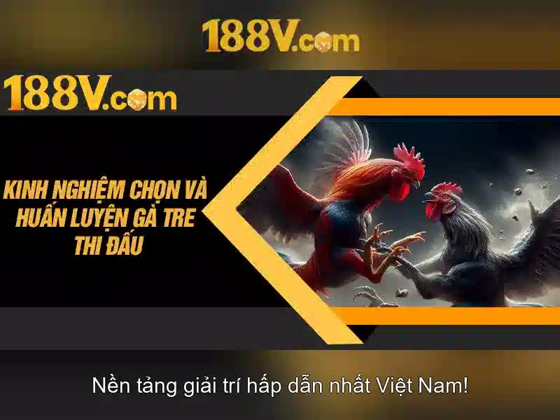 188V và hành trình khám phá nguồn năng lượng