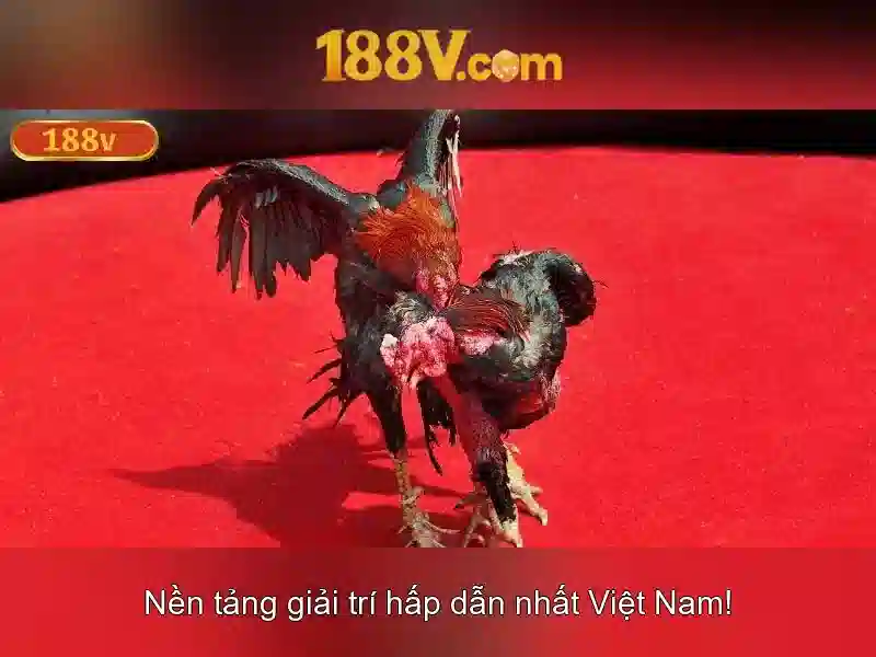 Khởi đầu với 188v\n
