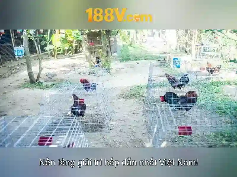 188V: Khái niệm, nguồn gốc và tương lai