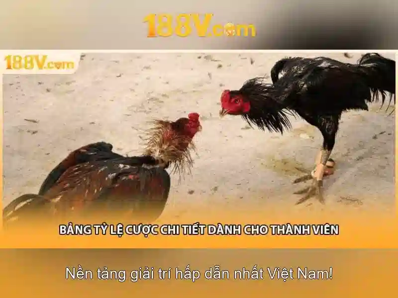 Khám phá 188V: Hiệu suất và an toàn cho hệ thống nguồn