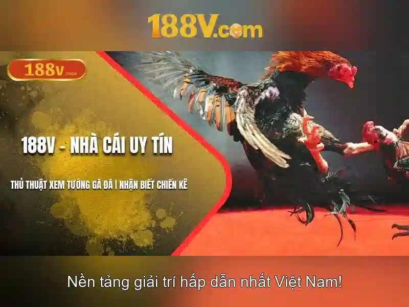188v và tương lai của trải nghiệm số