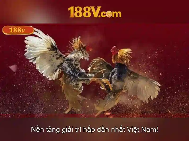 188v và những điều chưa kể
