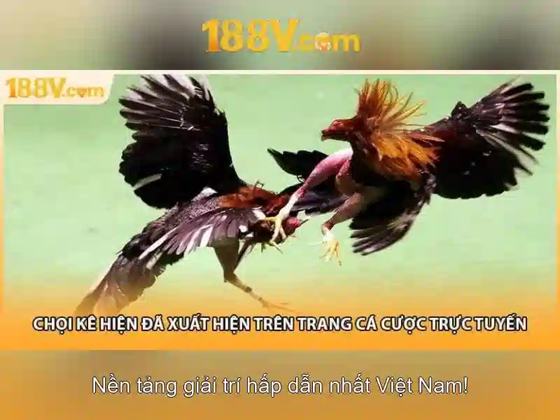 Khám phá 188v: hành trình của một ý tưởng số