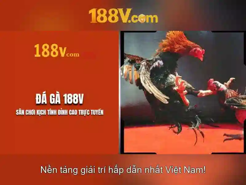 An toàn và quản lý rủi ro