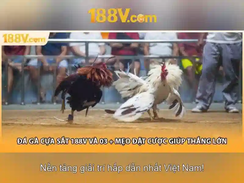 188v: Biểu tượng của năng lượng và sự sáng tạo