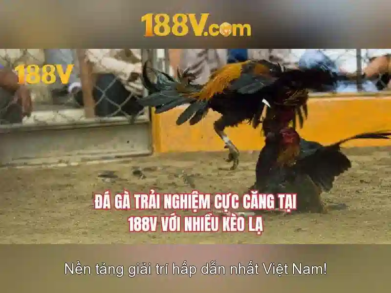 code 188v mới nhất – trải nghiệm đỉnh cao với 188v apk