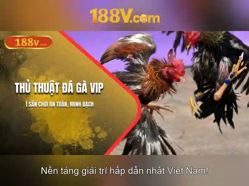 Nguồn gốc và ý nghĩa
