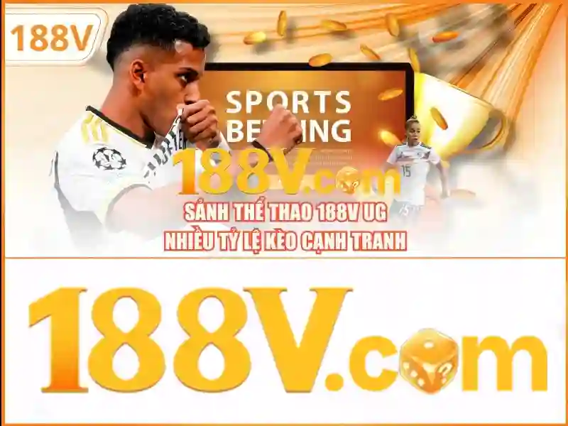 Option-cho-doi-voi-nguoi-choi 