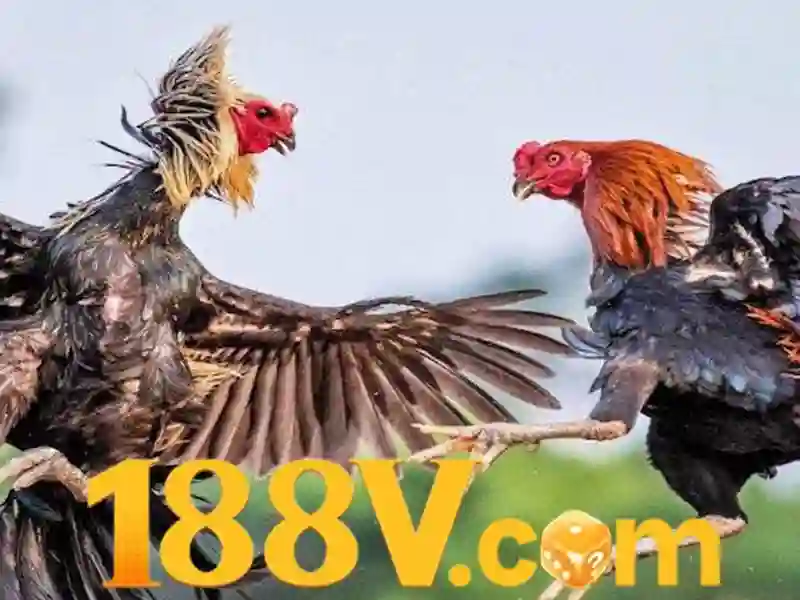 Giới thiệu về 188v